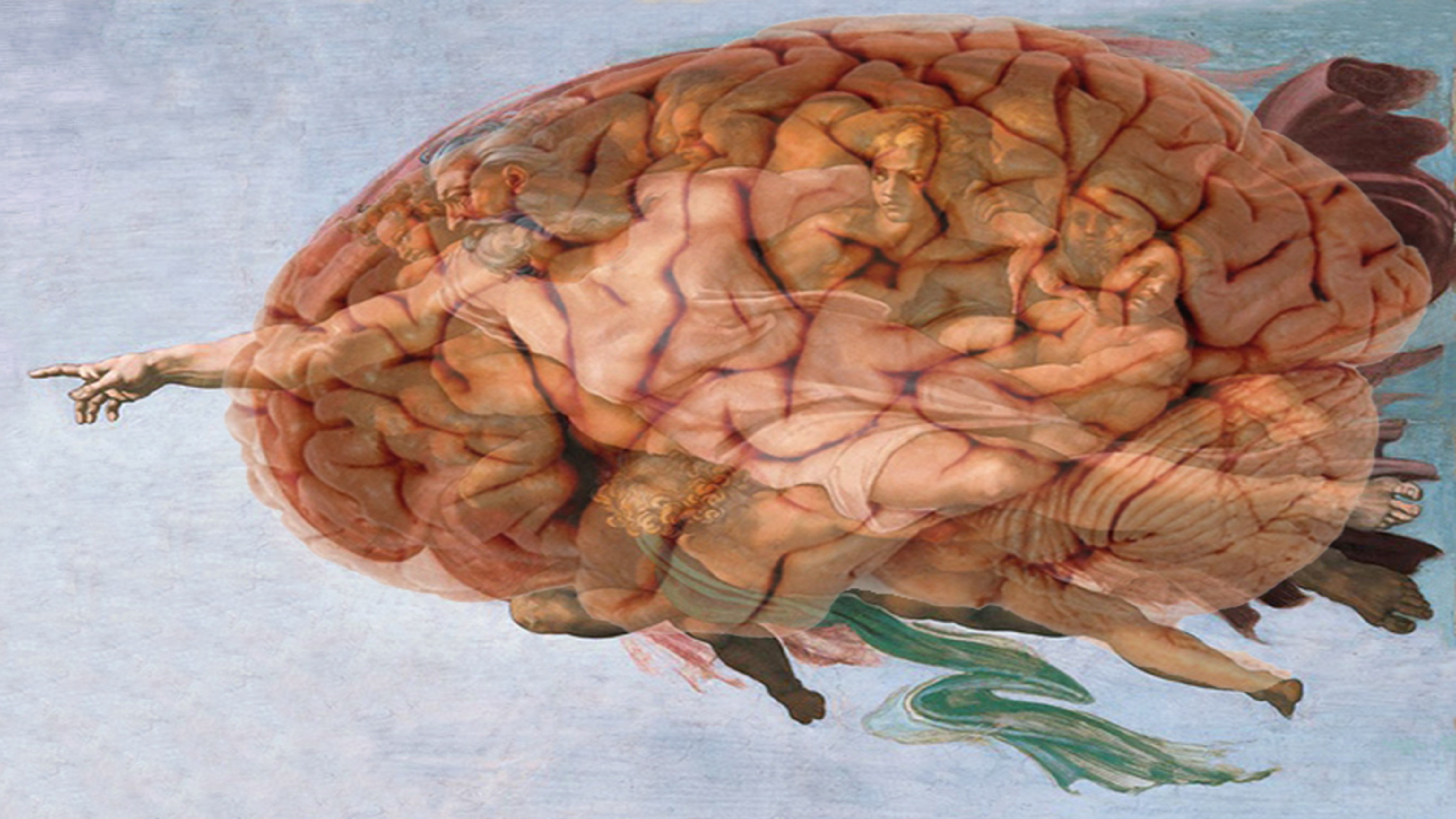 Diseño de Dios: el cerebro humano