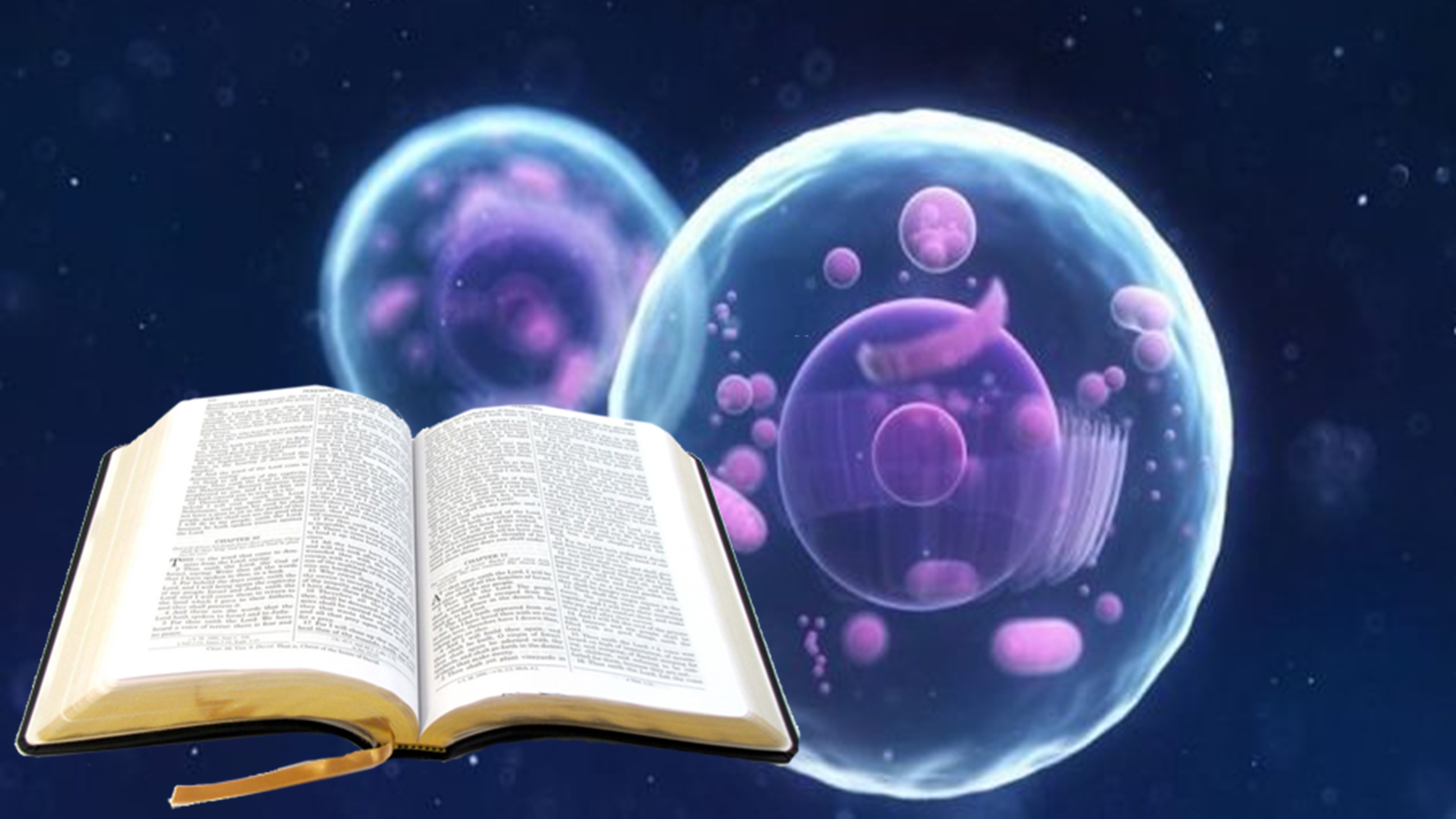 Sabiduría de Dios: encuentro entre la Biología y la Biblia